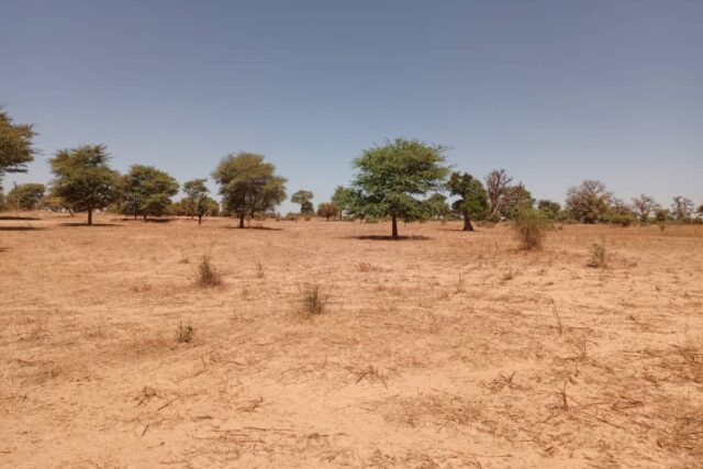 Terrain de 1,91 hectare vers Tassette