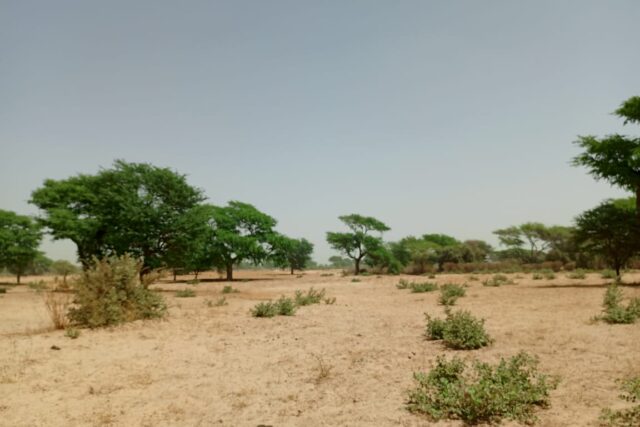 Terrain de 1,06 hectare vers Tassette