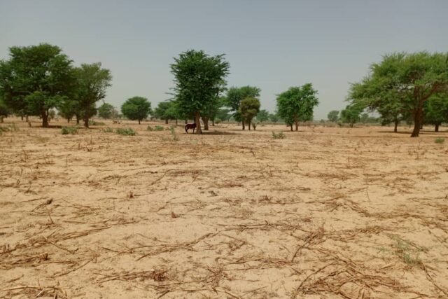 Protégé : Terrain de 7141 m² vers Tassette