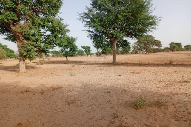 Protégé : Terrain de 2,88 hectares vers Tassette