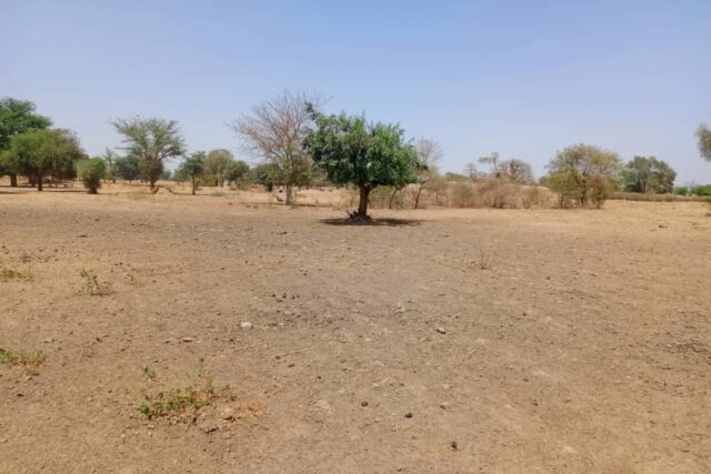 Protégé : Terrain de 1,08 hectare vers Tassette