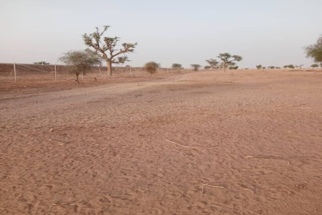 Terrain de 25 hectares vers Touba