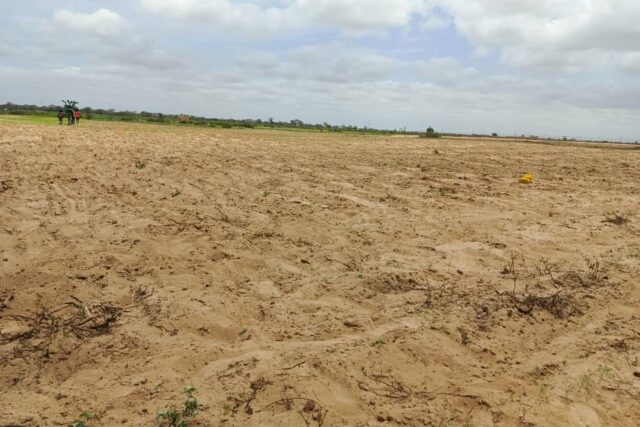 Terrain de 01 hectare vers Tassette