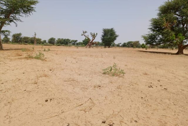 Terrain de 1,05 hectare vers Tassette