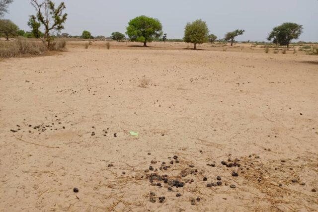 Protégé : Terrain de 7067 m² vers Tassette