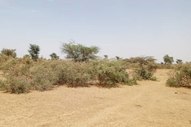 Terrain de 48 hectares vers Koul