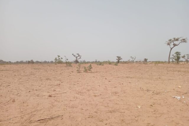 Protégé : Terrain de 3,19 hectares à Ndiéyene Sirakh
