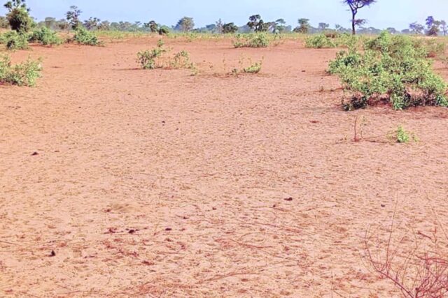 Protégé : Terrain de 1,34 hectare à Ndiéyene Sirakh