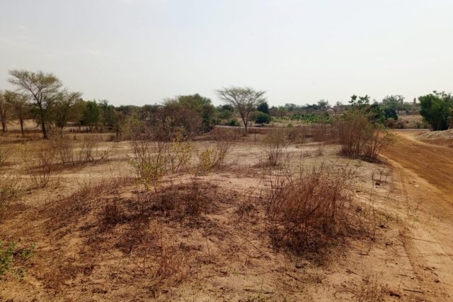 Protégé : Terrain de 5 hectares vers Notto Diobass