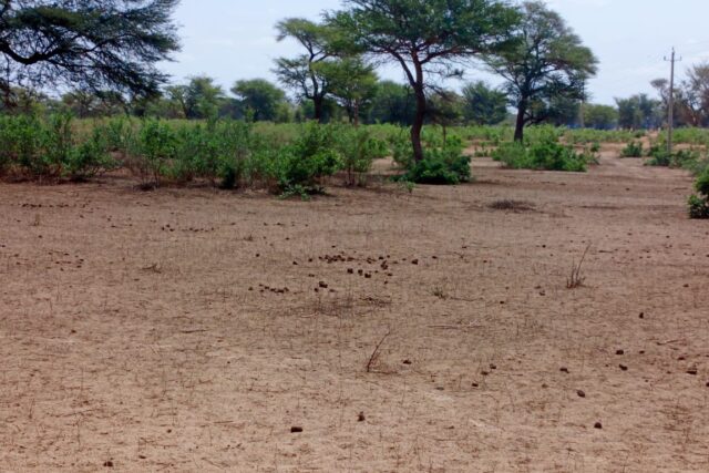Terrain de 21,05 hectares vers Thiénaba