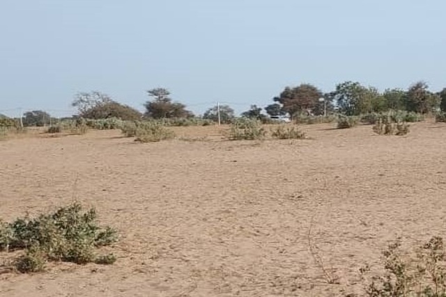 Terrain de 5 hectares vers Notto Diobass