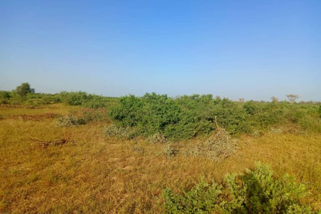 Terrain de 9 hectares vers Notto Diobass