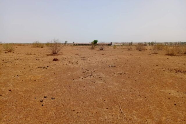 Terrain de 1 hectare vers Tassette