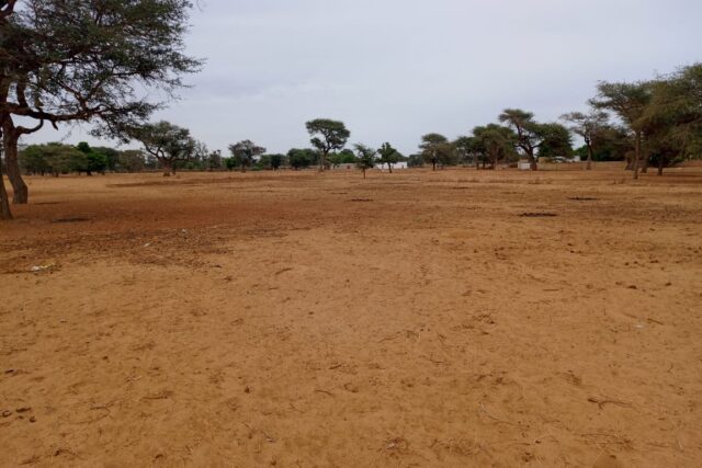 Terrain de 1,54 hectare vers Touba Toul