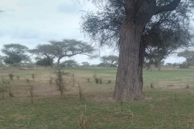 Terrain de 10 hectares vers Koul