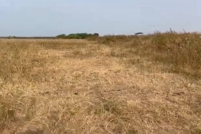 Terrain de 8 hectares vers Nguéniène