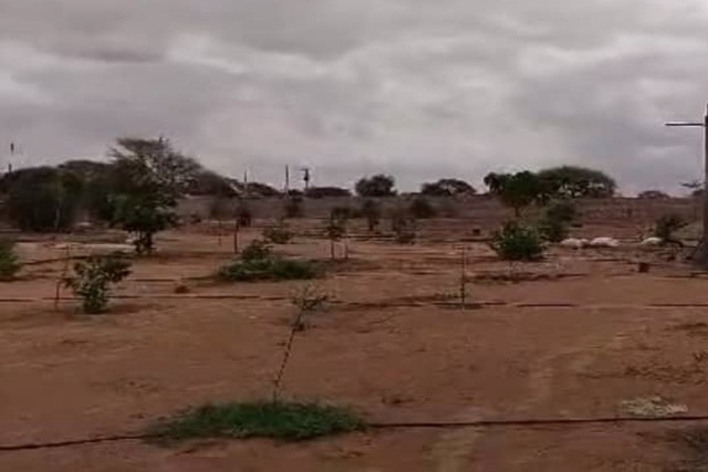 Verger de 1 hectare vers Tassette