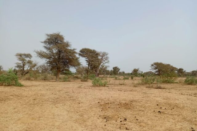 Protégé : Terrain de 5 hectares vers Tassette