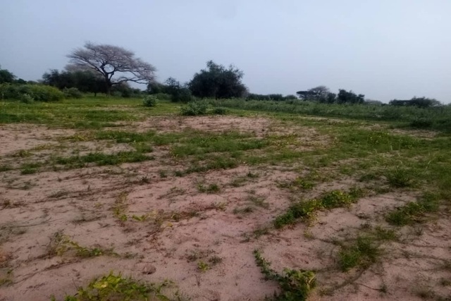 Terrain de 4 hectares vers Koul