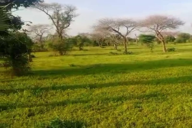 Terrain de 3 hectares vers Koul