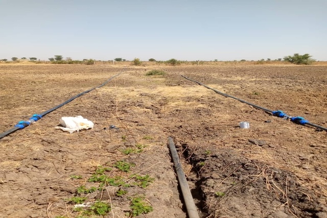 Verger de 5 hectares vers Tassette