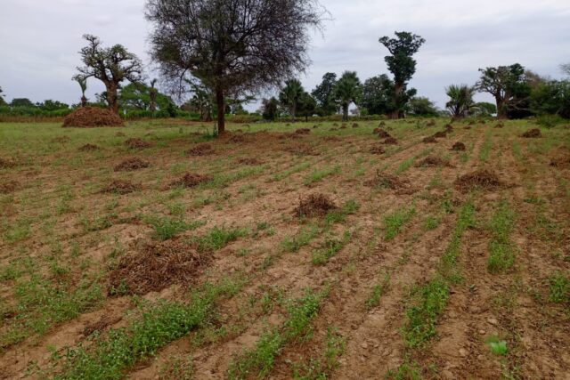 Terrain de 2,77 hectares vers Tassette