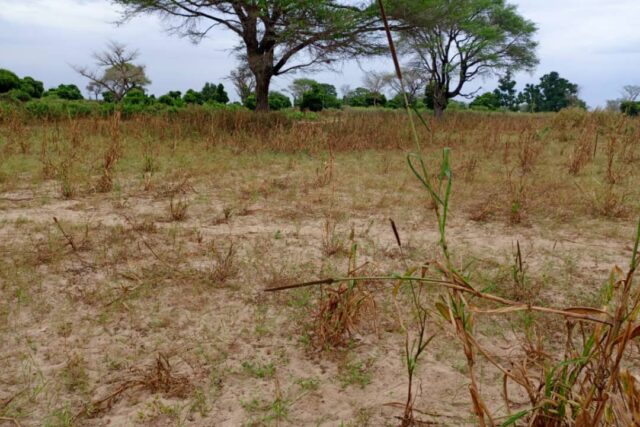 Terrain de 2,50 hectares vers Tassette