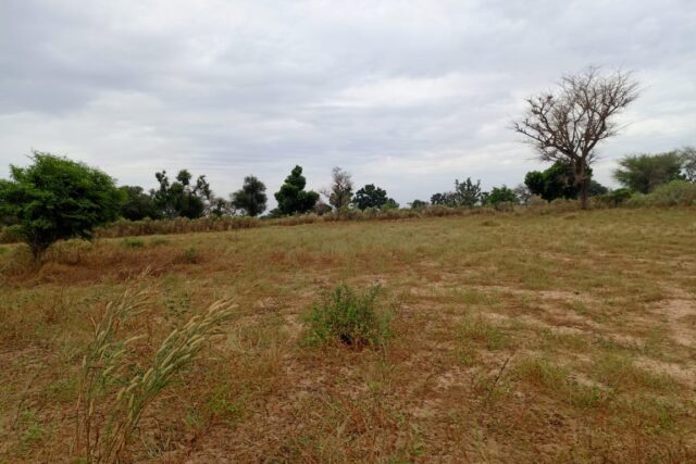 Terrain de 9 012 m² vers Tassette