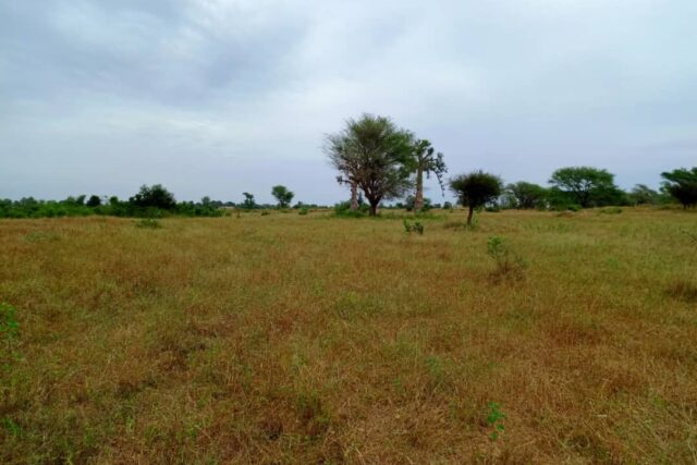 Terrain de 2,44 hectares vers Tassette