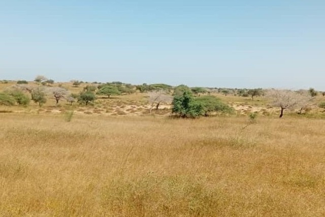 Terrain de 5 hectares vers Leona