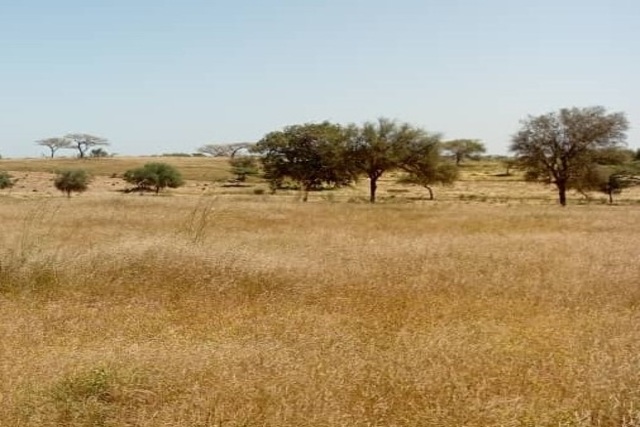 Terrain de 2 hectares vers Leona