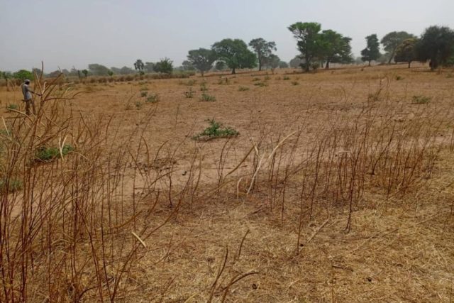 Terrain de 6178 m² vers Tassette