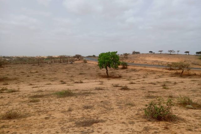 Terrain de 8.279 m² vers Lompoul