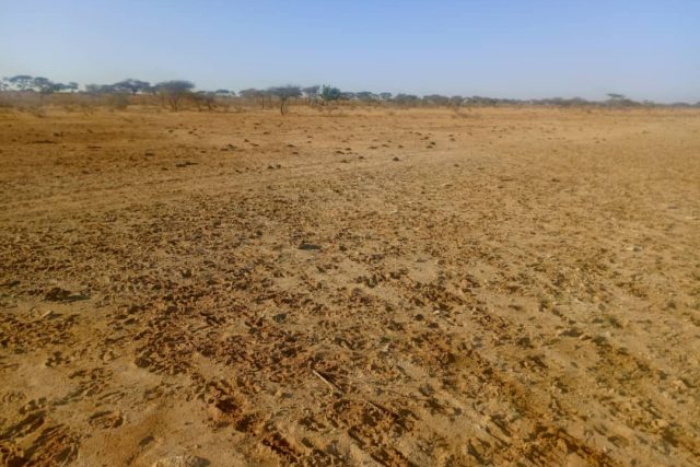 Terrain de 160 hectares vers Diama