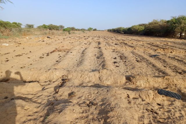 Verger de 2,55 hectares vers Diama