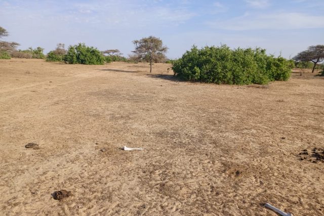 Terrain de 3,91 hectares vers Diama