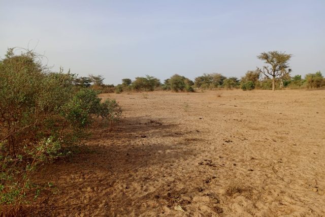 Terrain de 1,47 hectare vers Notto